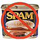 Privacy Policy: No Spam Allowed